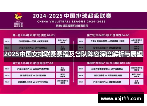 2025中国女排联赛赛程及各队阵容深度解析与展望