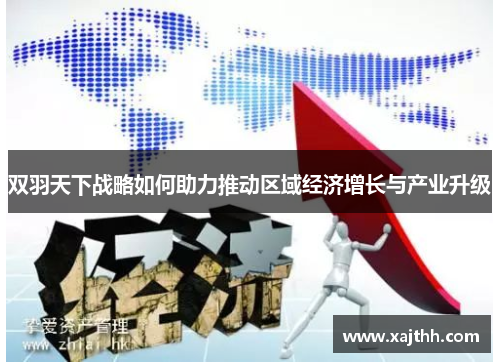 双羽天下战略如何助力推动区域经济增长与产业升级